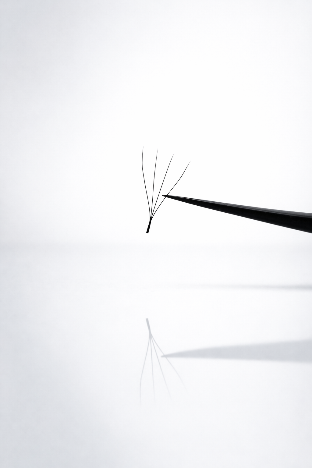 Extensions de cils en W double éventail effet plumeux BELYZ LASH