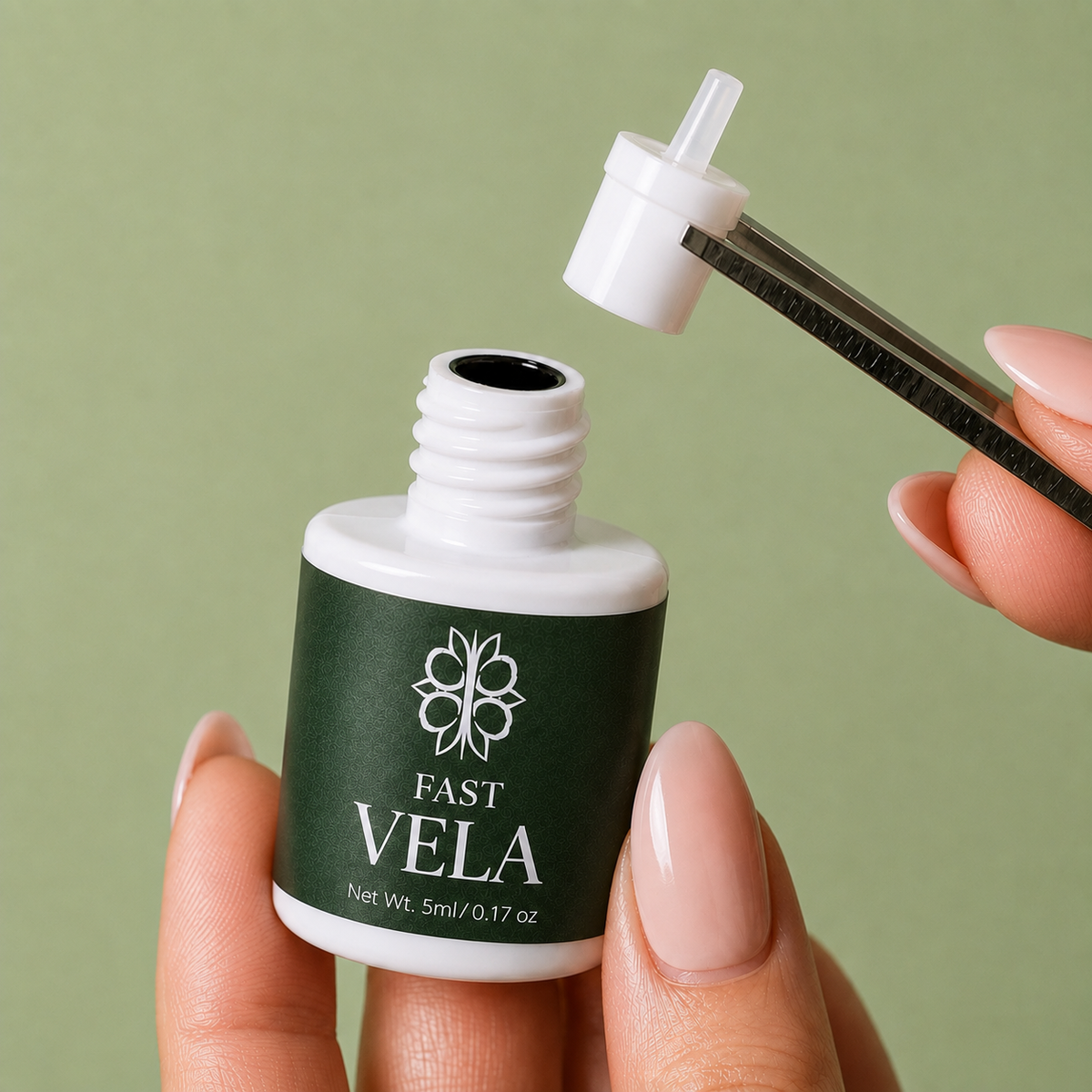 VELA
