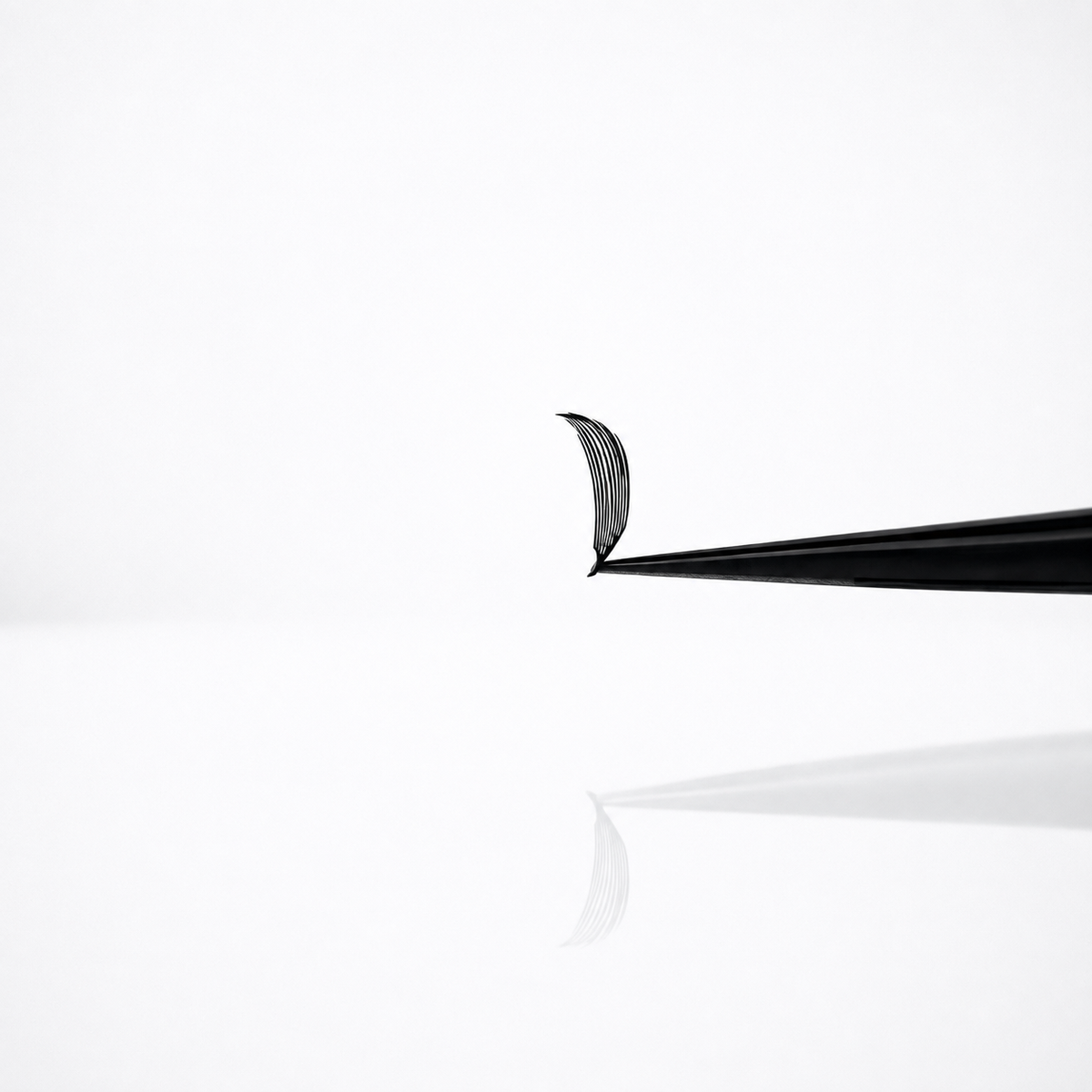 PLUME